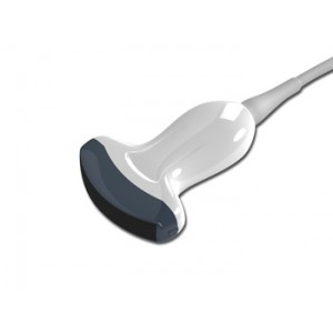 SONDE 3.5 MHz   convexe (pour le codes 33911 3, 33919 21)
